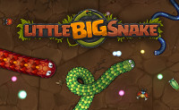 Little Big Snake